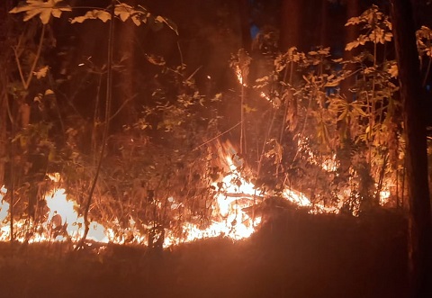 El incendiarismo es un delito que como tal que debe investigarse y sancionarse. Foto: Melquiades Vásquez