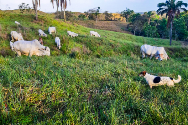 En la zona se practican actividades agropecuarias. Foto: Cortesía