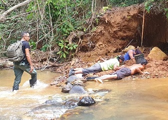 Se les sorprendió en el sector conocido como Guarumal, que pertenece al corregimiento de Caimitillo. Foto: Diomedes Sánchez Se les sorprendió en el sector conocido como Guarumal, que pertenece al corregimiento de Caimitillo. Foto: Diomedes Sánchez