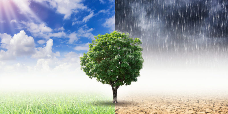 environmental compensation