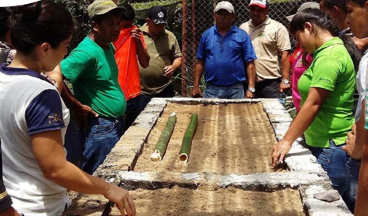La docencia es clave en el posicionamiento del bambú en el país. Foto: Cortesía