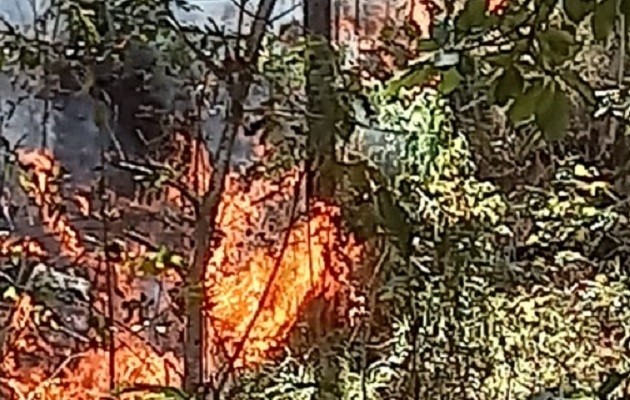 El fuego amenaza con extenderse a otras áreas. Foto: Melquiades Vásquez