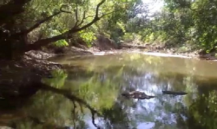 Las aguas del río San Pedro son utilizadas por productores y comunidades. Foto: Melquiades Vásquez A.