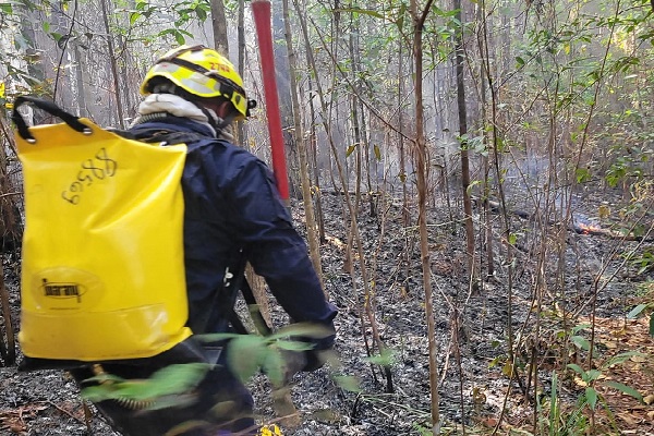 El incendio de masa vegetal, afectó cerca de 200 hectáreas de bosque en La Yeguada. Foto. Cuerpo de Bomberos.