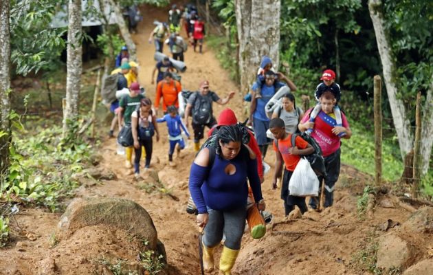 Casi 100,000 personas cruzaron el Darién desde el pasado 1 de enero hasta la fecha. Foto: EFE