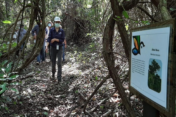 Este sendero se ubica a unos 45 minutos de la ciudad de David, los visitantes  pueden realizar aviturismo. Foto: Mayra Madrid 