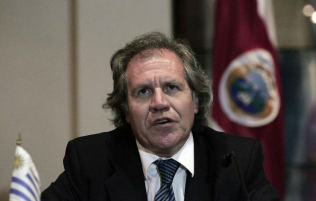 Miller & Chevalier apuntó que sus hallazgos