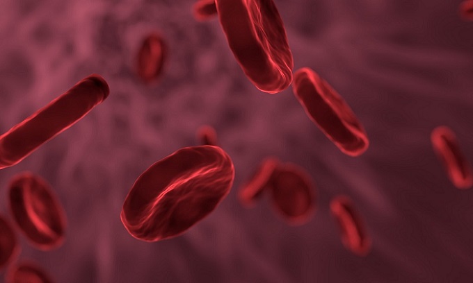 La lucha contra la hemofilia continúa. Foto: Ilustrativa/Pixabay