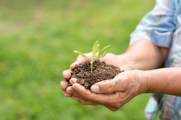 Sustainability and investments with social impact, a business challenge