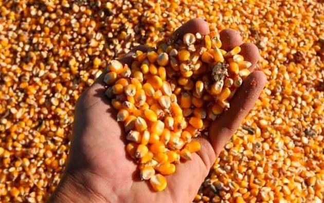 Latin America’s trade with Africa is strong