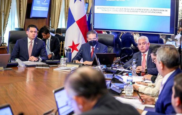 El Consejo de Gabinete autorizó al ministro de Salud presentar el proyecto. Foto: Cortesía Presidencia