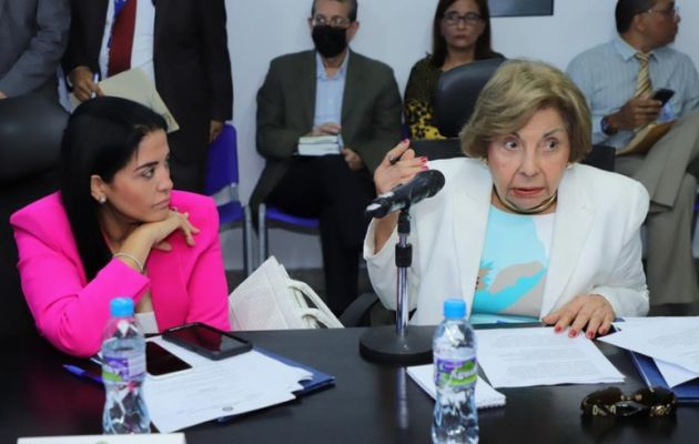 La proponente del proyecto de ley es la diputada Mayín Correa. Foto: Cortesía Asamblea Nacional