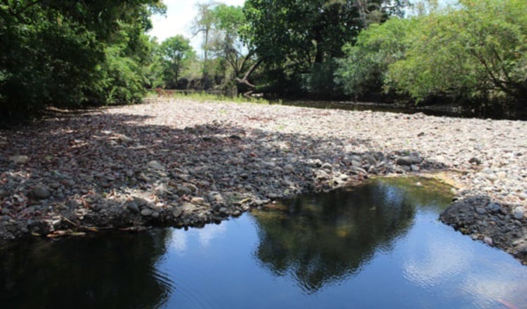 Sequía afectas ríos del país.