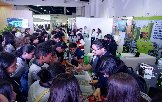 club_mineralogico2_pa02.jpg club_mineralogico2_pa02.jpg