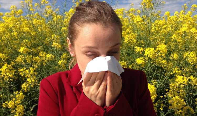 El clima puede tener un gran impacto en la presencia de alérgenos. Foto:  Pixabay