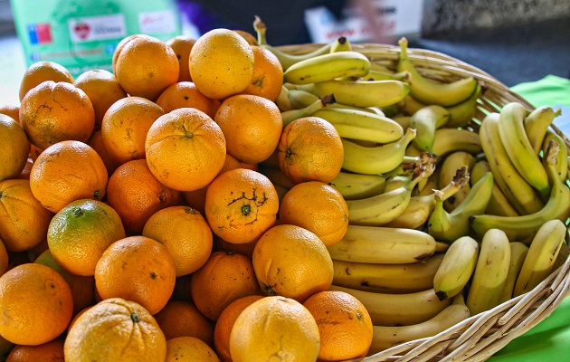 Las frutas ayudan a mejorar la salud y la nutrición a nivel familiar. Foto: FAO