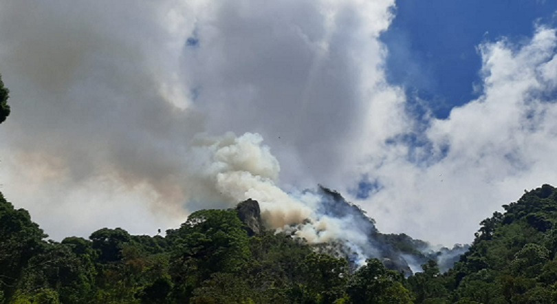 El incendio está fuera de los límites del Parque Internacional La Amistad. Foto: José Vásquez