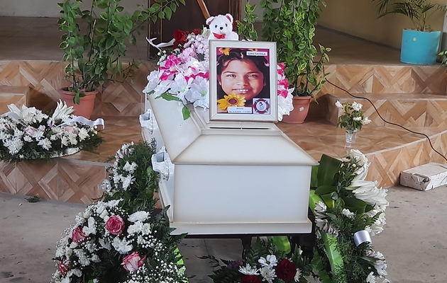 La niña murió el 11 de febrero en el hospital Materno Infantil José Domingo de Obaldía. Foto: Cortesía