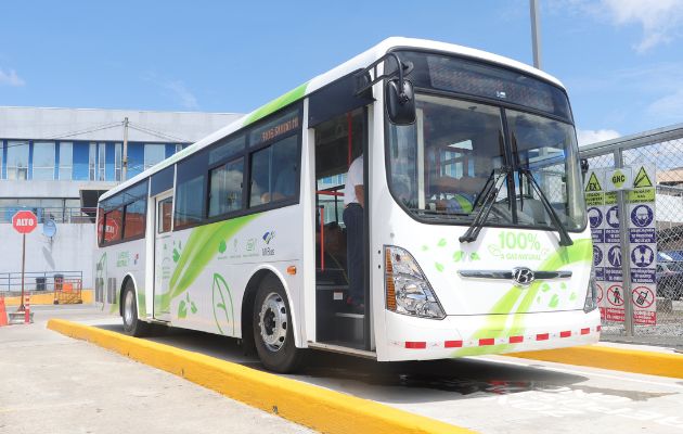 Bus a gas natural vehicular. Foto: MiBus