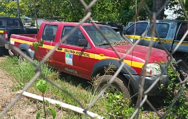 Los carros abandonados por daños en su mayoría son literalmente nuevos. Foto: Melquiades Vásquez