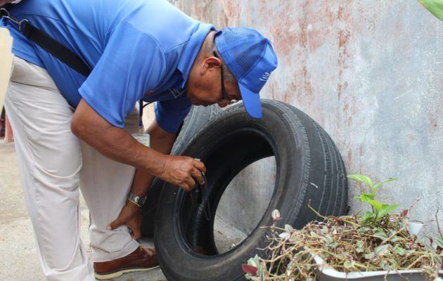 Hallaron criaderos de mosquitos. Foto: Cortesía Minsa