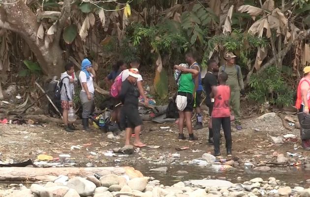 Más de 157,000 migrantes irregulares han atravesado la jungla en lo que va de año. Foto: EFE