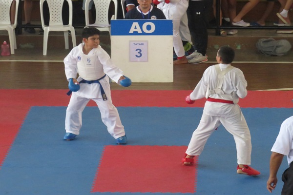 Kemshotan Karate-Do Academy, forging values