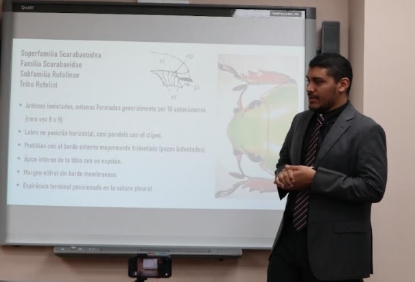Panamanian, in the bug expert directory