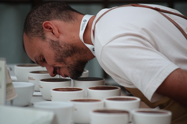 La subasta electrónica de los diferentes lotes de café será el próximo 2 de agosto. Foto. Cortesía