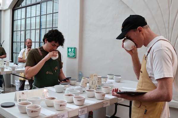 Hay un café varietal que es el favorito para ganar en esa categoría, está causando mucho de qué hablar entre los jueces por su calidad. Foto. Cortesía