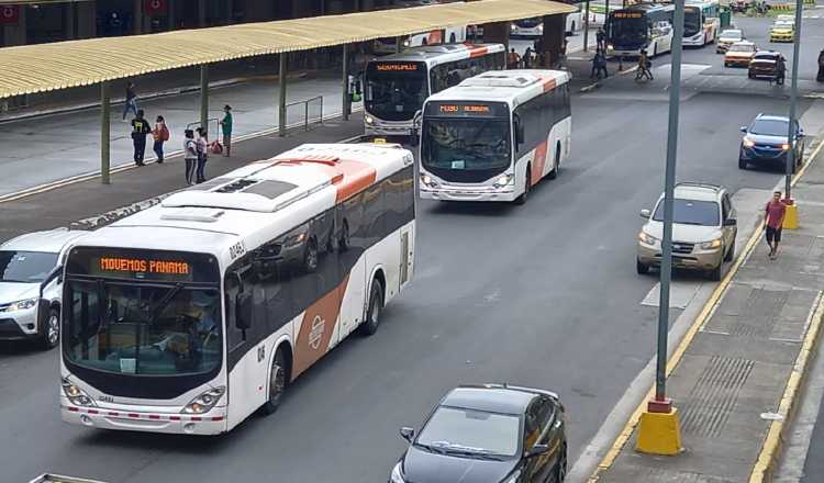 La mayoría de los buses Grand Viale ya tienen más de 700 mil kilómetros recorridos, estima MiBus. Foto: Archivo