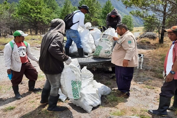 Se llevó a cabo un operativo de limpieza en el Parque Nacional Volcán Barú. Foto. José Vásquez