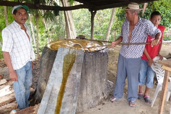 En la pintoresca comunidad de Bajo Corral, hay la mejor miel del país. Foto. Melquíades Vásquez