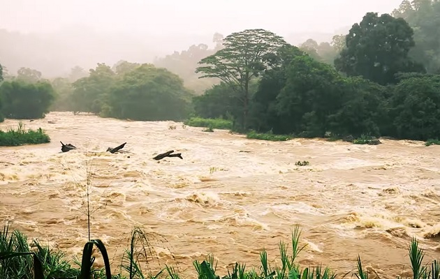 El paso de una onda tropical será uno de los eventos que se simularán. 