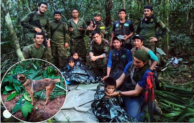 Children rescued in the jungle are stable;  the dog does not appear