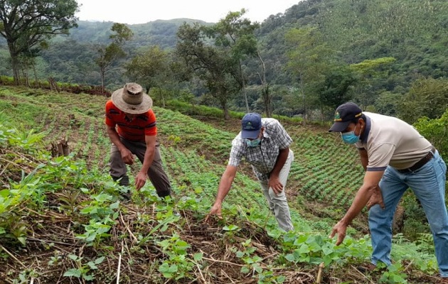 En Panamá hay un problema de productividad y rentabilidad, que hace necesario una mejor preparación por parte de los profesionales. Foto: Cortesía Mida