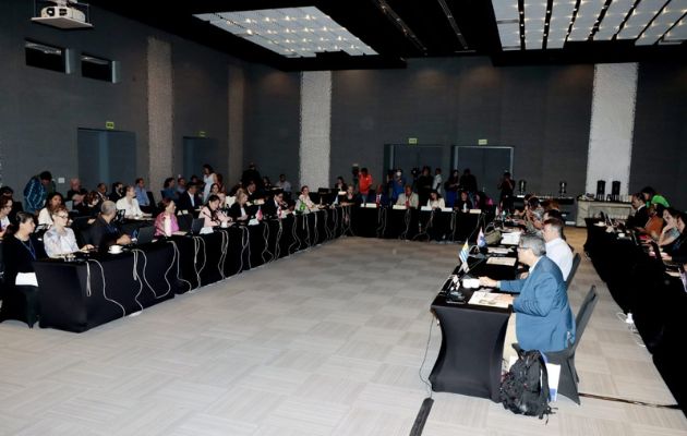 Conferencia de las Partes (COP 31). Foto: Víctor Arosemena