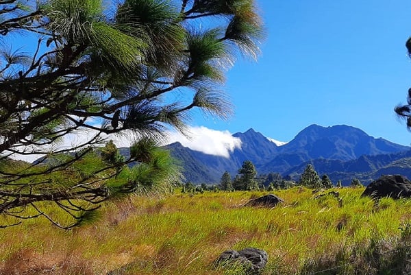 El decreto de creación de este parque en sus considerandos destacó la necesidad de conservación y manejo de las características escénicas naturales. Foto: MiAmbiente