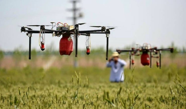 De acuerdo con la FAO, invertir en los jóvenes que viven en las áreas rurales es clave para mejorar la productividad agrícola. Foto: Cortesía