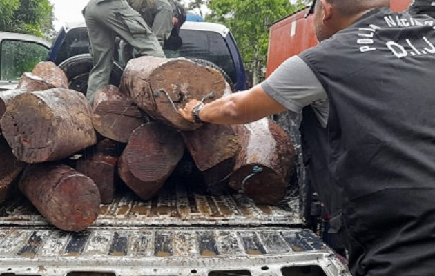 El material forestal se encontraba dentro de un vagón en una propiedad en San Juan. Foto: Diomedes Sánchez