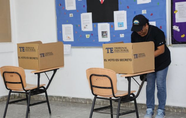 Las primarias del partido CD se realizarán el domingo 9 de julio. Foto: Cortesía Tribunal Electoral