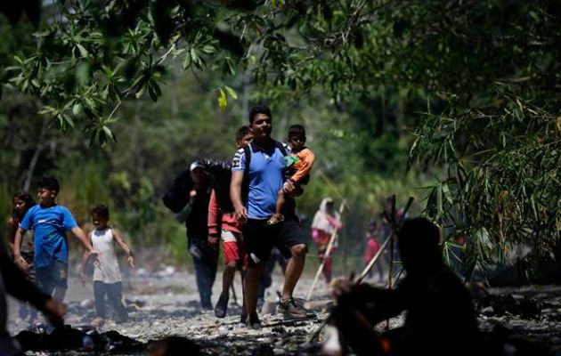 Grupos de personas migrantes caminan en la selva del Darién. Foto: EFE