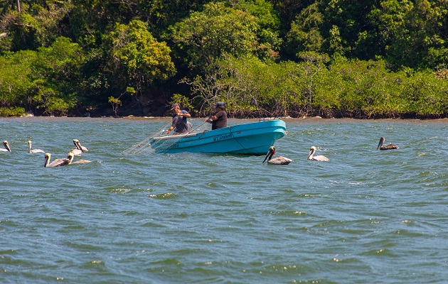 La base para redefinir la alfabetización oceánica incluye basarse más en los conocimientos empíricos de las comunidades costeras. Foto: Smithsonian