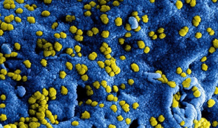 Antimicrobial resistance: How to fight against it?