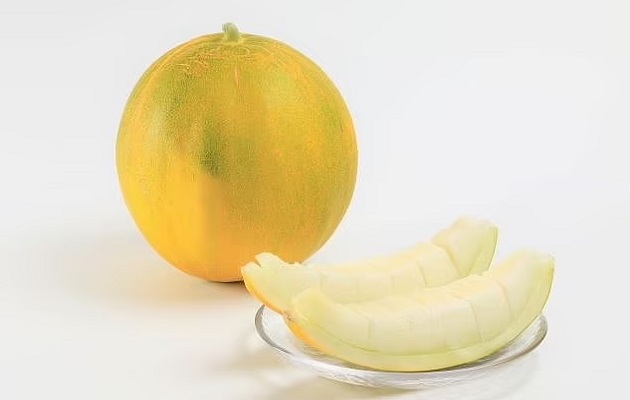 ‘Lemon melon’: the Japanese launch a new fruit on the market ‘Lemon melon’: the Japanese launch a new fruit on the market