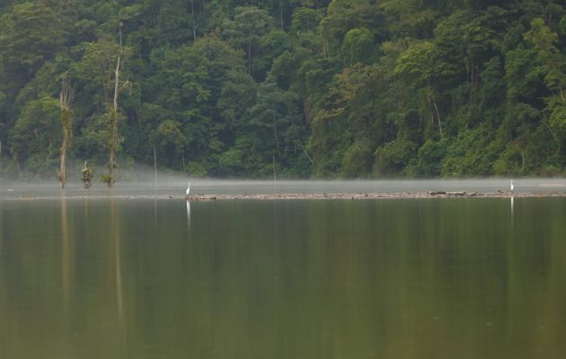 Se espera aumentar considerablemente el uso eficiente de los recursos hídricos. Foto: Cortesía MiAmbiente