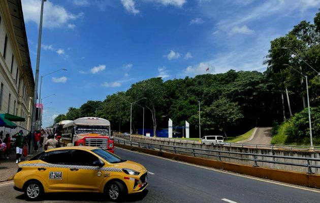 Atropello y fuga en Avenida de Los Mártires. Foto: Cortesía