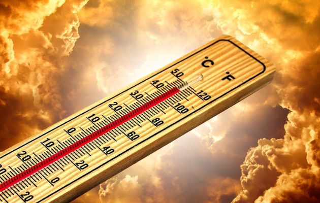 Se estiman en 30°C a 35°C las temperatura de aire diurnas y en 26°C a 28° C las temperaturas nocturnas. Foto: Pixabay
