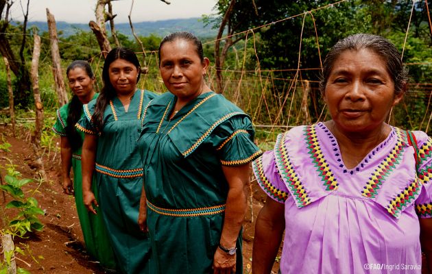 Día Internacional de los Pueblos Indígenas. Foto: FAO