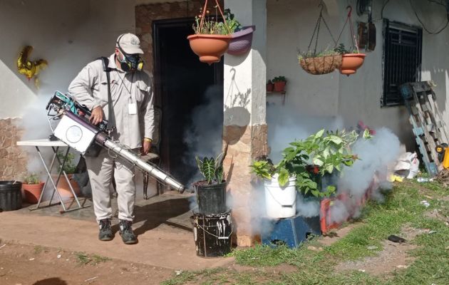 Se recomienda mantener limpio los alrededores de las casas para evitar criaderos de mosquitos. Foto: Cortesía Minsa